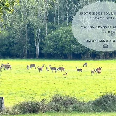 L Hostellerie Du Brame - 6 Pers Dom wakacyjny Cisai-Saint-Aubin